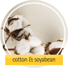 cotton